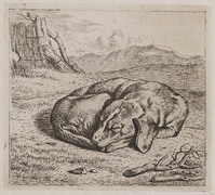 KG 08001
<br/>
Slapende hond
<br/>
<em>Troostwijk, Wouter Johannes van (1782-1810)</em>